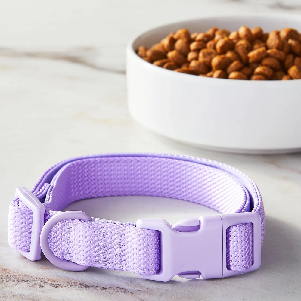 Adjustable Neoprene Dog Collar – Comfortable Fit for Medium Dogs (14–20 Inches) with D-Ring Leash Attachment