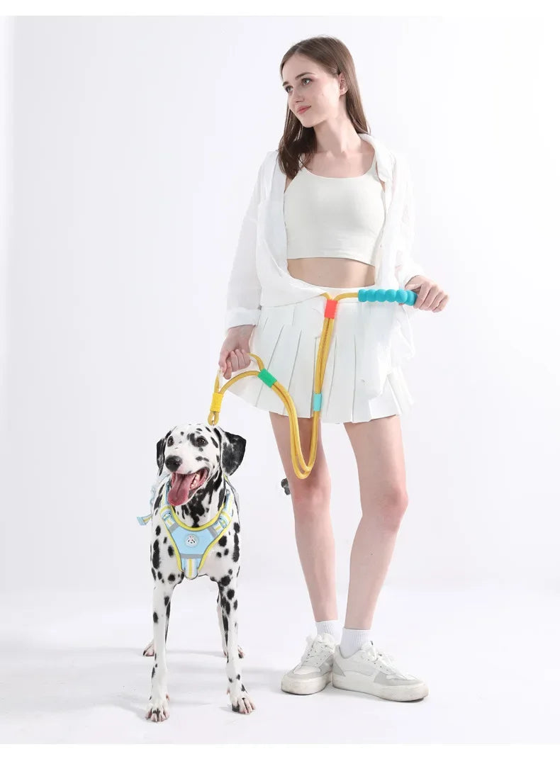 Cotton Candy P-Chain Dog Leash – Anti-Slip, Wear-Resistant Traction Rope