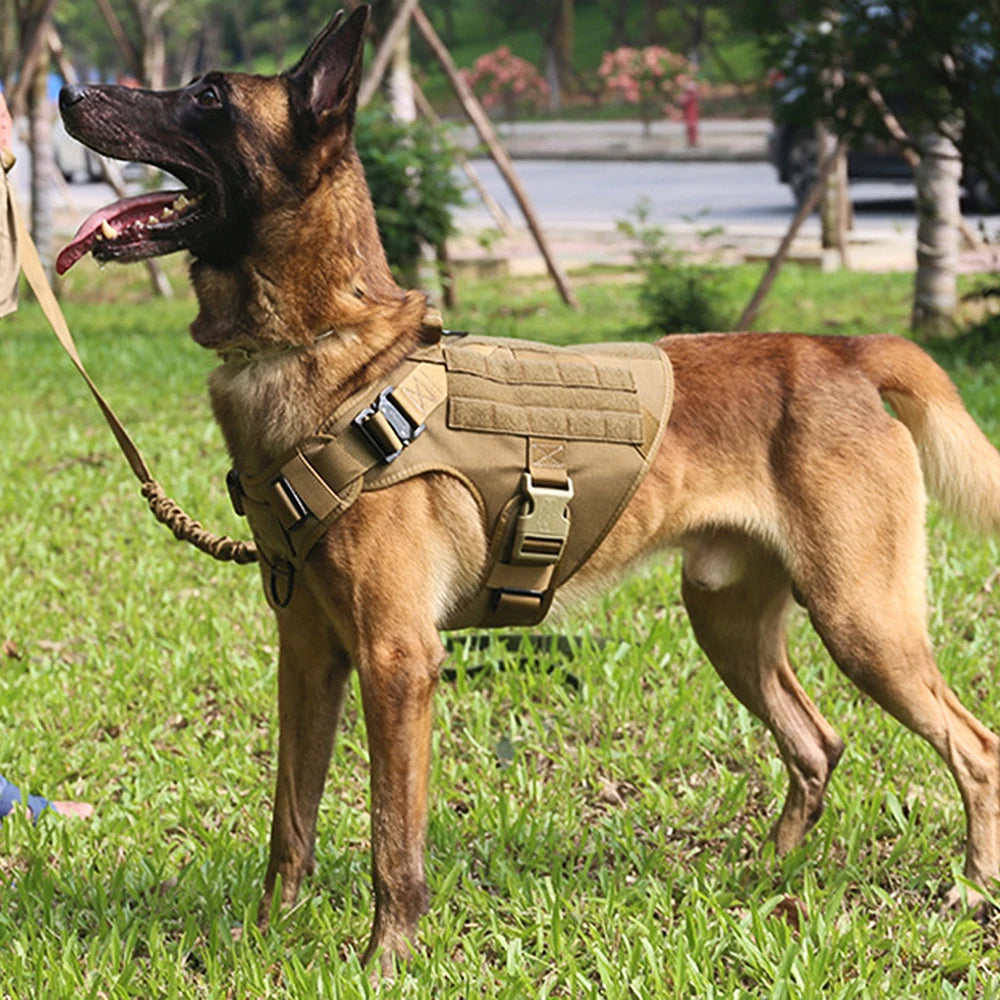 Large Dog Harness & Leash Set – Training Vest for German Shepherds, Malinois & Big Dogs