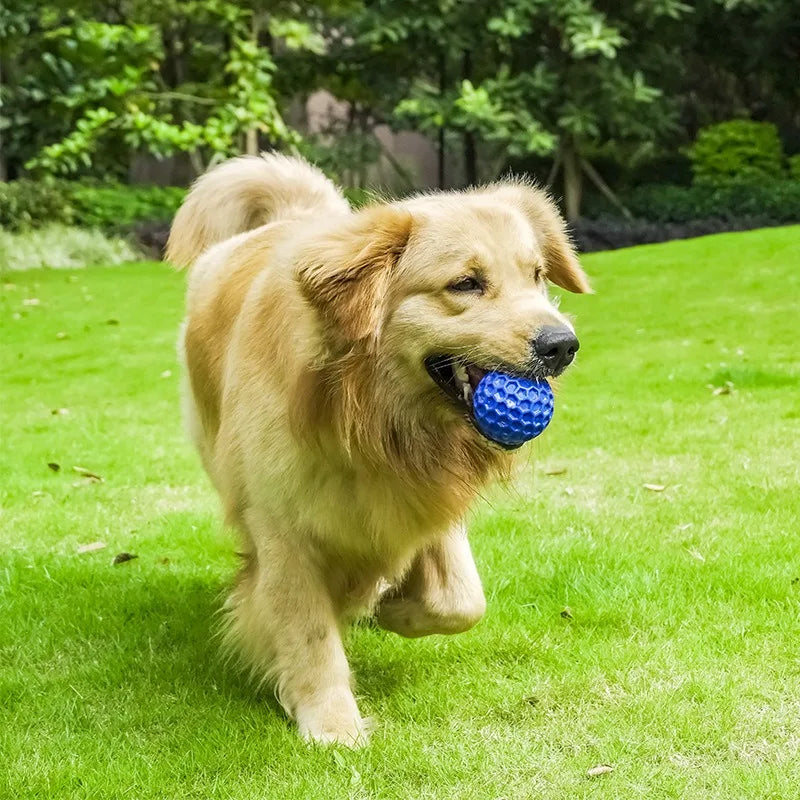 Bite-Resistant Honeycomb Ball Dog Toy – Interactive Rolling Toy with Sound for Teeth Cleaning & Chewing