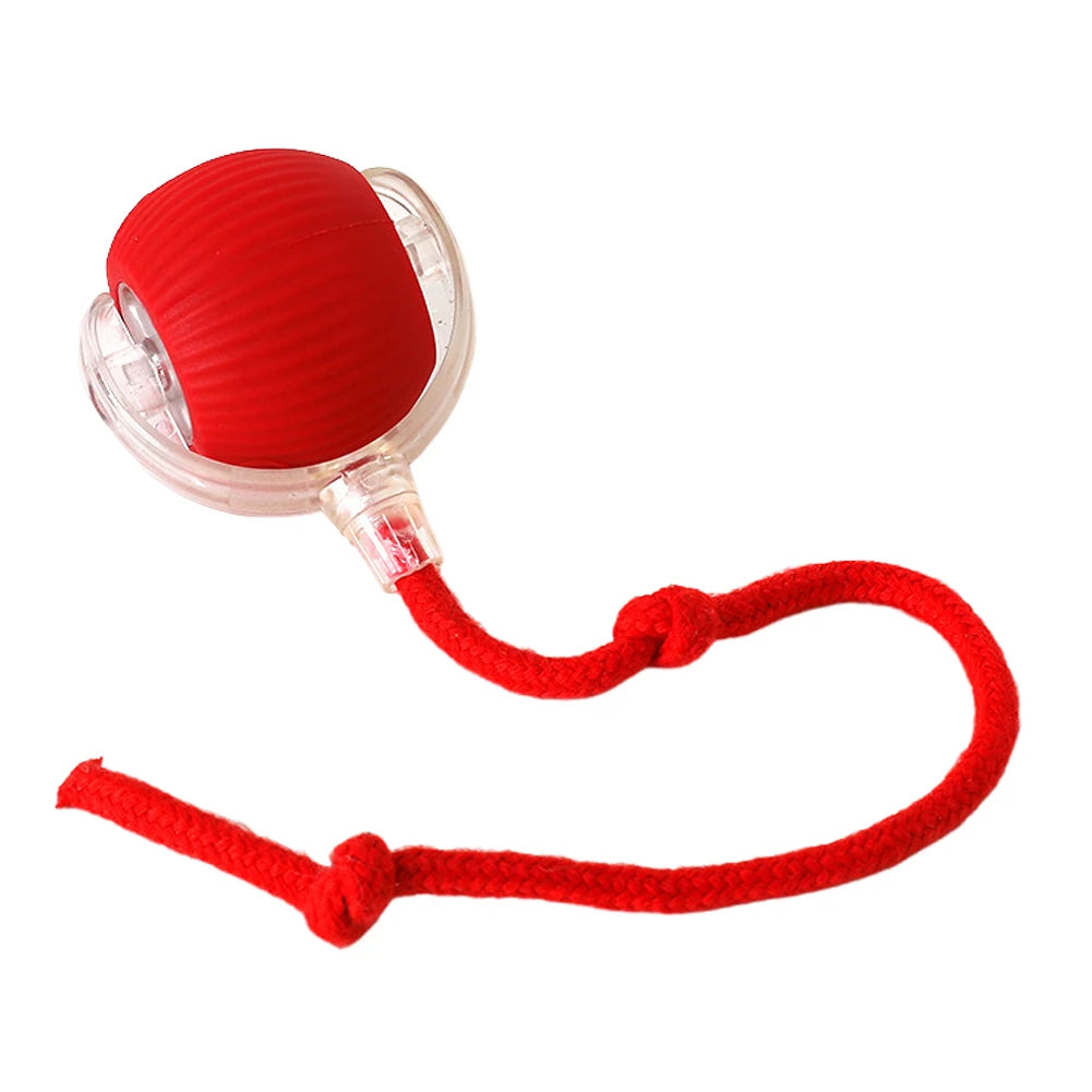 2PC/1PC Cat Interactive Ball Toys – Automatic Rolling, Self-Rotating, Rechargeable Balls for Indoor Cats & Kittens