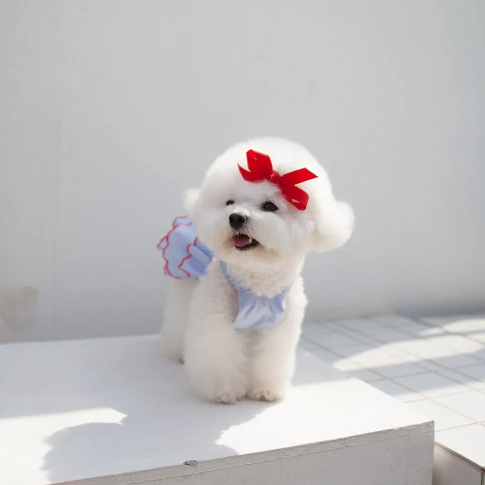 Dog Princess Dress – Cute Skirt Apparel for Chihuahuas, Teddy Dogs