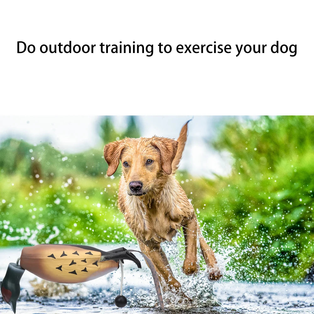 Pheasant Dummy Bumper Toy – Hunting Dog Training Aid for Retrievers & Gundogs | Duck Recognition & Retrieval Practice
