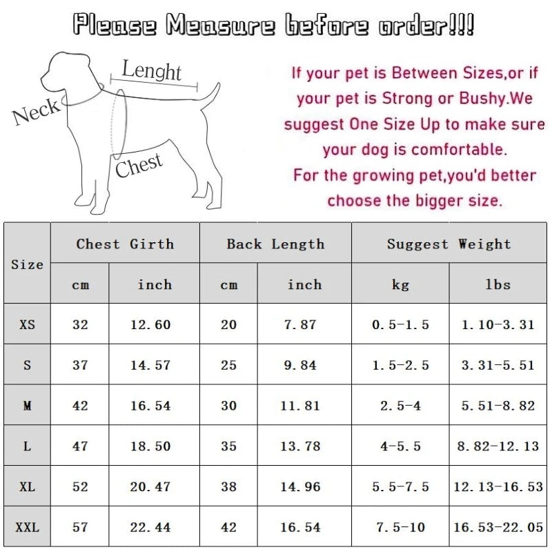 Winter Puppy Princess Dress – Warm Bow Knot Dog Dress Set with Hair Clip