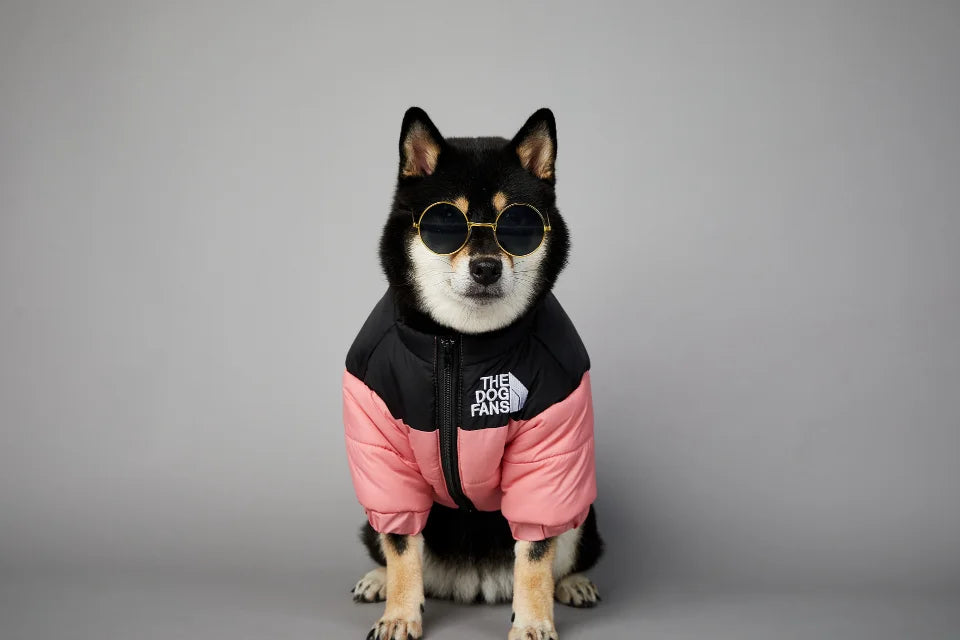 . Dog Fans Winter Pet Down Jacket – Thick Warm Coat for Small & Medium Dogs