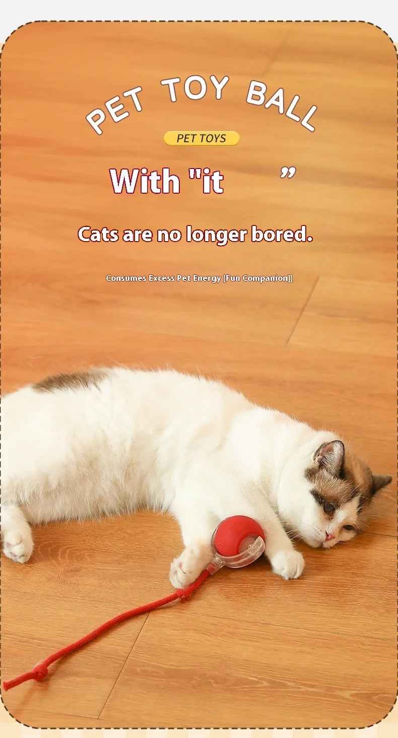 Smart Electronic Interactive Pet Toy Ball – USB Rechargeable Moving, Jumping & Bouncing Ball for Dogs & Cats