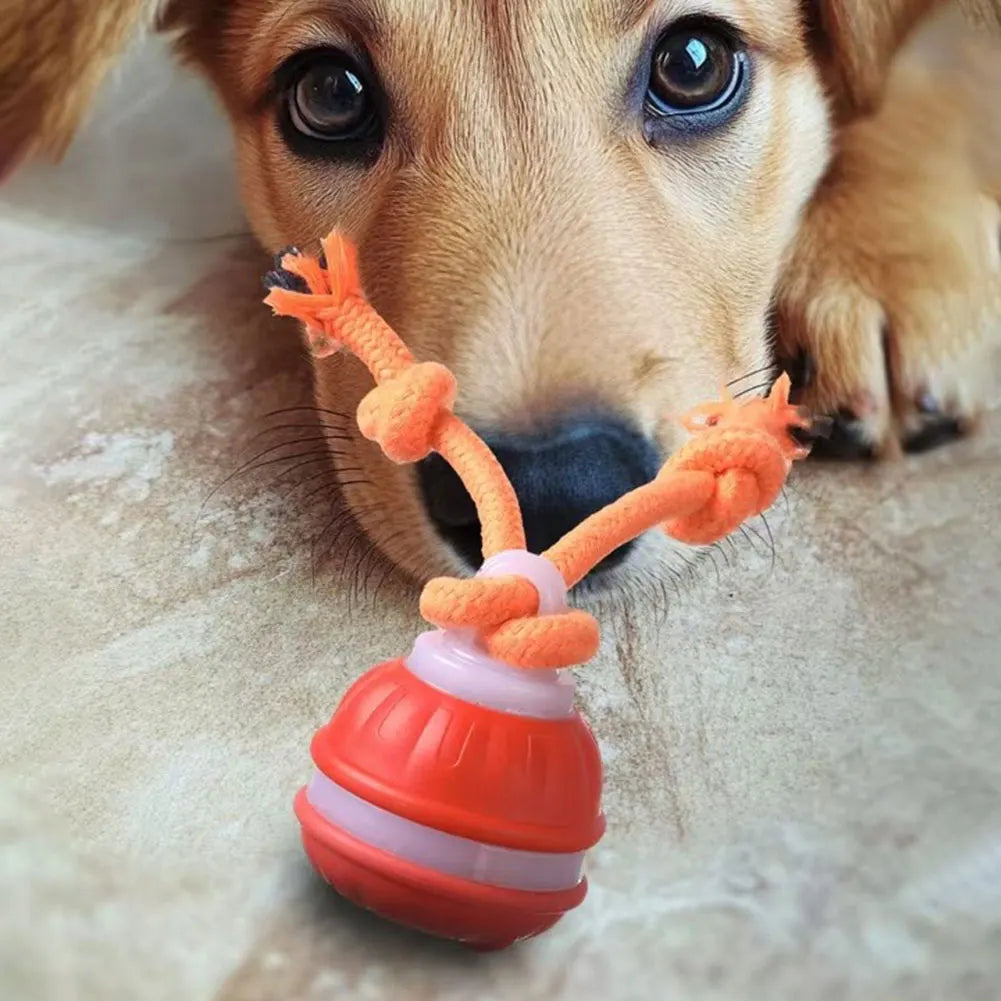 Interactive Dog Toy Ball – USB Rechargeable Motion-Activated Ball with Rope & Squeaker for Small & Medium Dogs, Puppy Play Toy