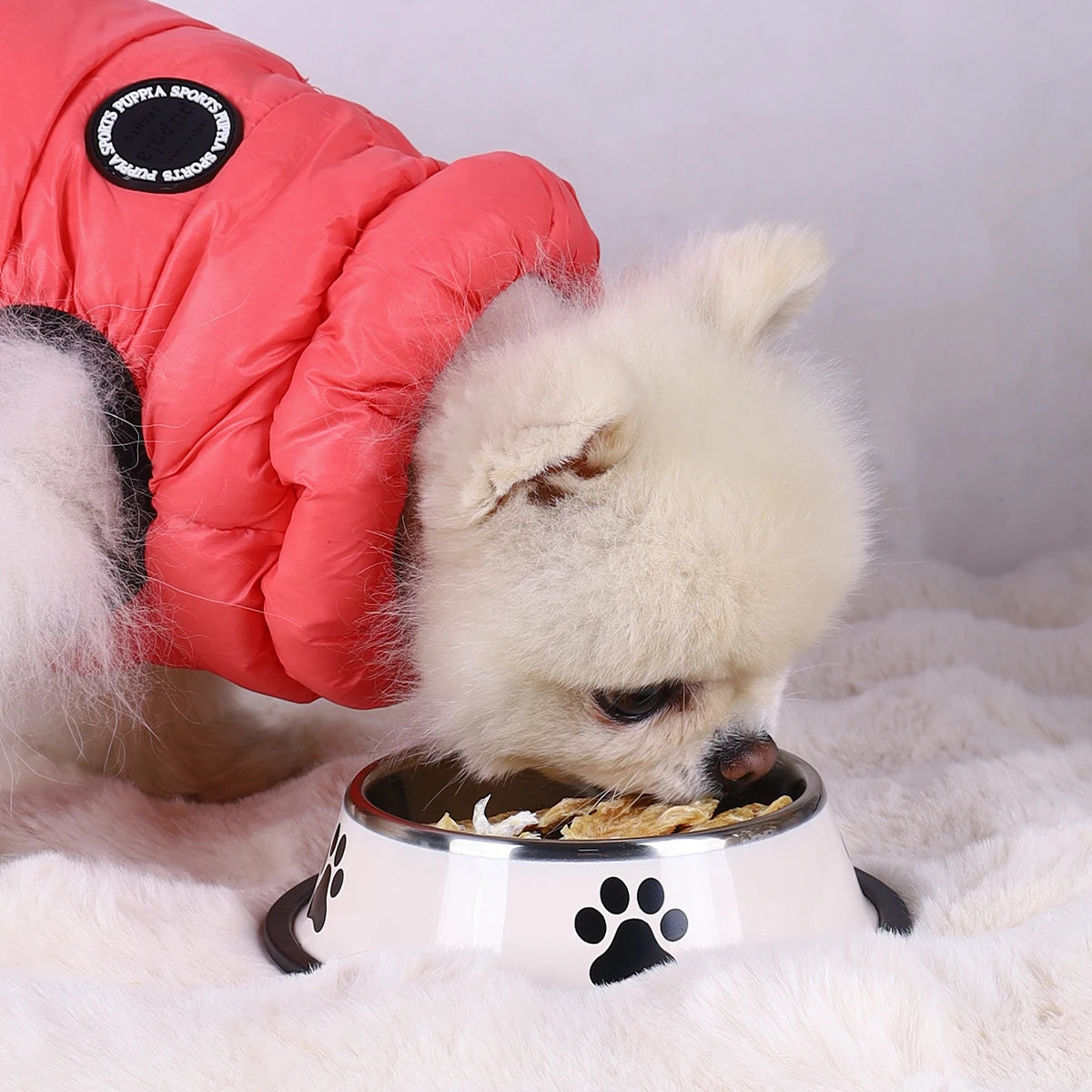 Stainless Steel Pet Bowl – Durable Anti-Fall Food & Water Bowl for Cats & Dogs