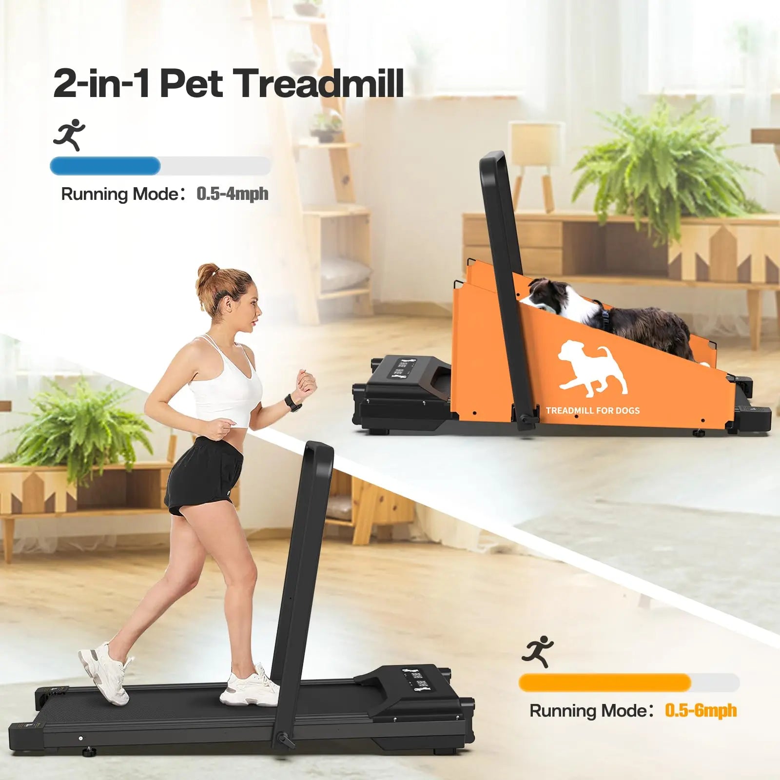 2.5HP Foldable Dog Treadmill – Indoor Running Machine for Small & Medium Dogs (Up to 220 lbs)