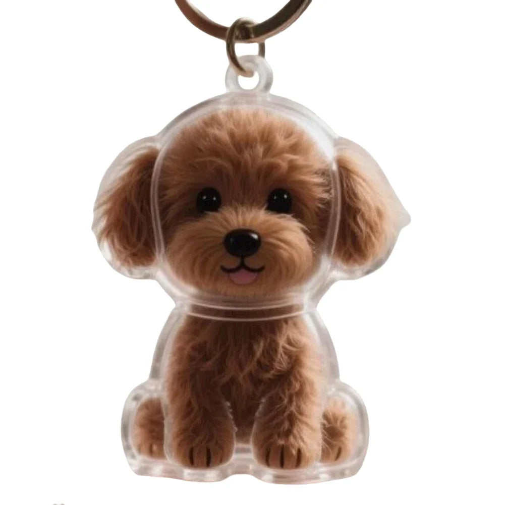 Dog Fur Keepsake Capsule Keychain – Transparent Memorial Charm Pendant for Pet Hair Storage & Remembrance Gifts