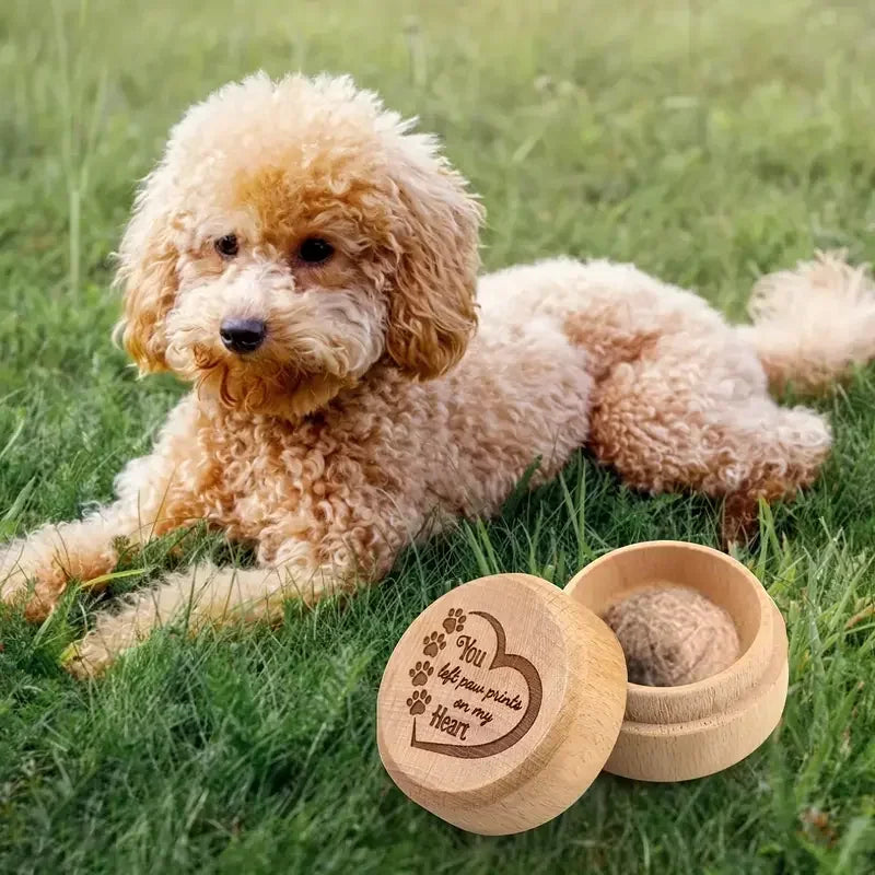 Wooden Pet Hair & Memory Keepsake Box – Durable Memorial Box for Dog & Cat Hair, Teeth & Ashes