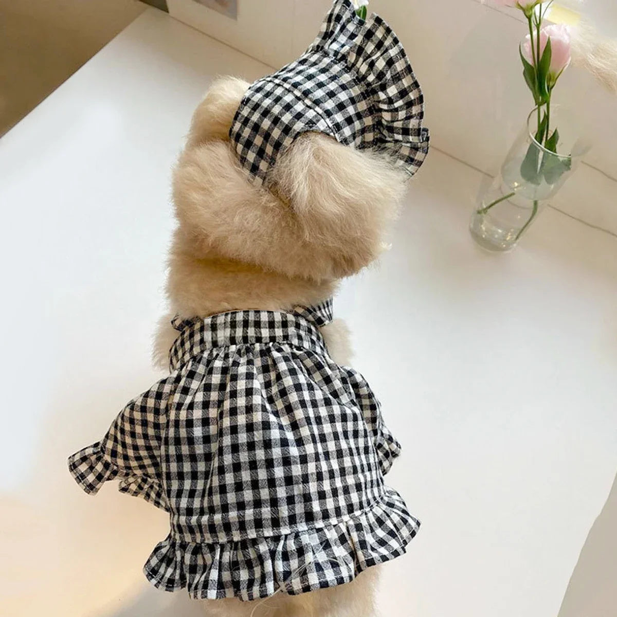 Dog Plaid Dress with Hat – Black & White Summer Outfit for Small Dogs and Puppies
