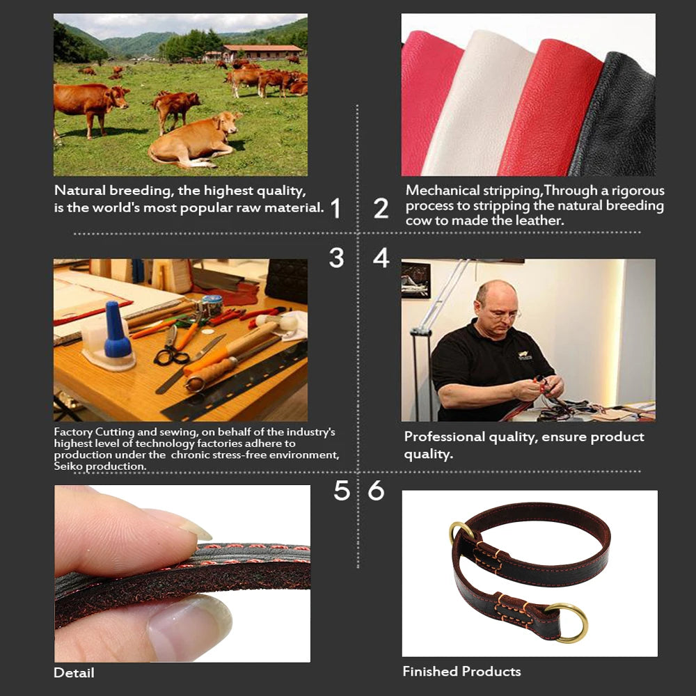 Durable Real Leather Slip Collar – Choke Training Dog Collar for Medium & Large Breeds (Black/Brown)