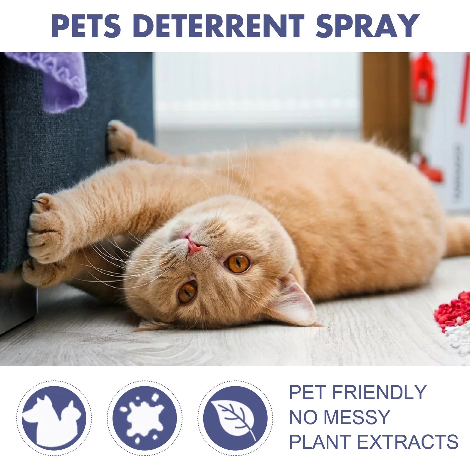 Cat Scratch Deterrent Spray – Natural Training Aid with Orange Fragrance, Furniture & Sofa Protector, No-Sting Formula