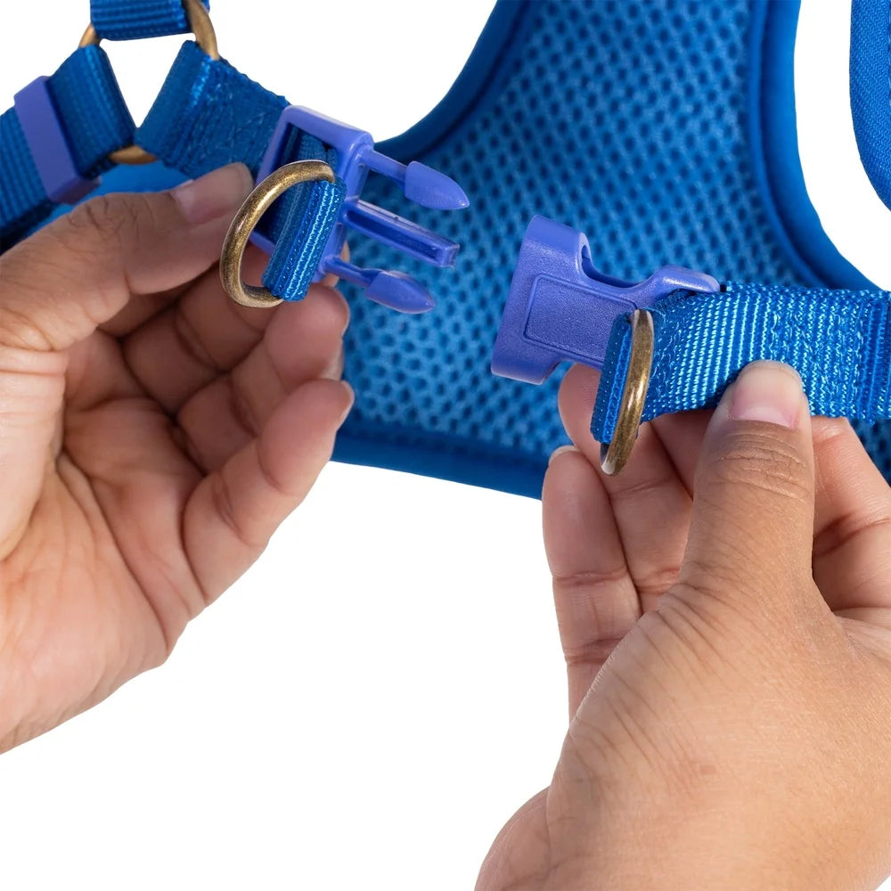 Adjustable Step-In Dog Harness – Breathable Mesh with Wide Chest Coverage & Secure Snap Buckle
