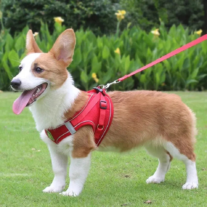 Reflective Pet Harness and Leash Set – No Pull Dog Vest with Breathable Mesh for Dogs & Cats