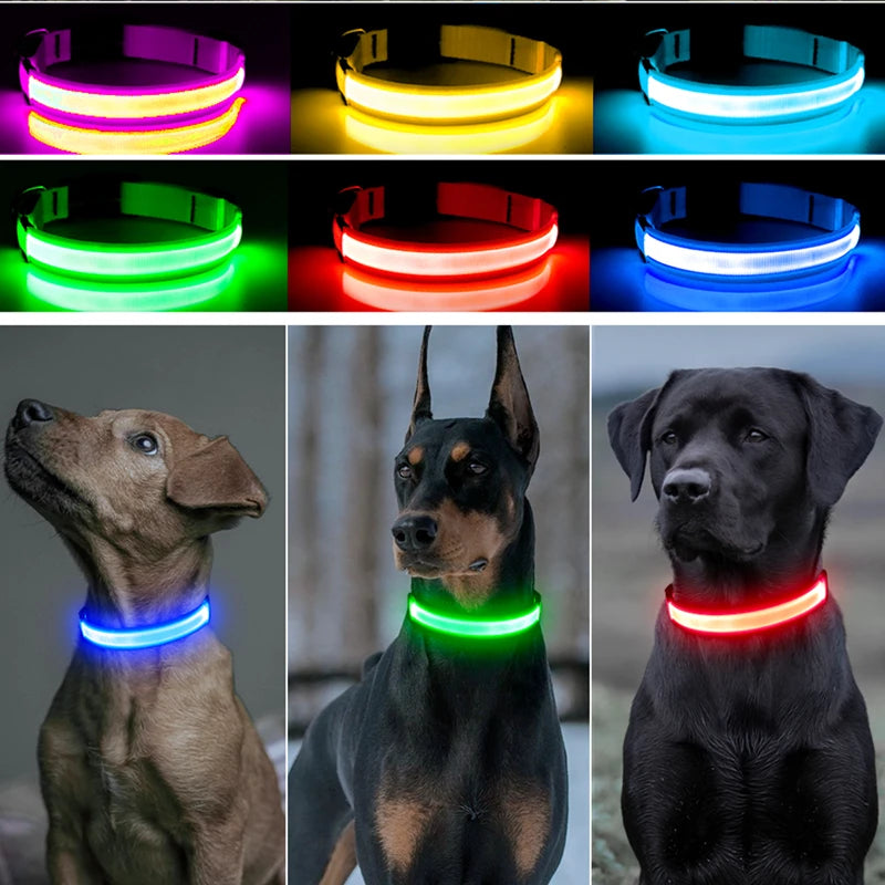 LED Luminous Dog Collar – Adjustable USB Rechargeable Glowing Pet Collar, Anti-Lost & Safety Flashing Light