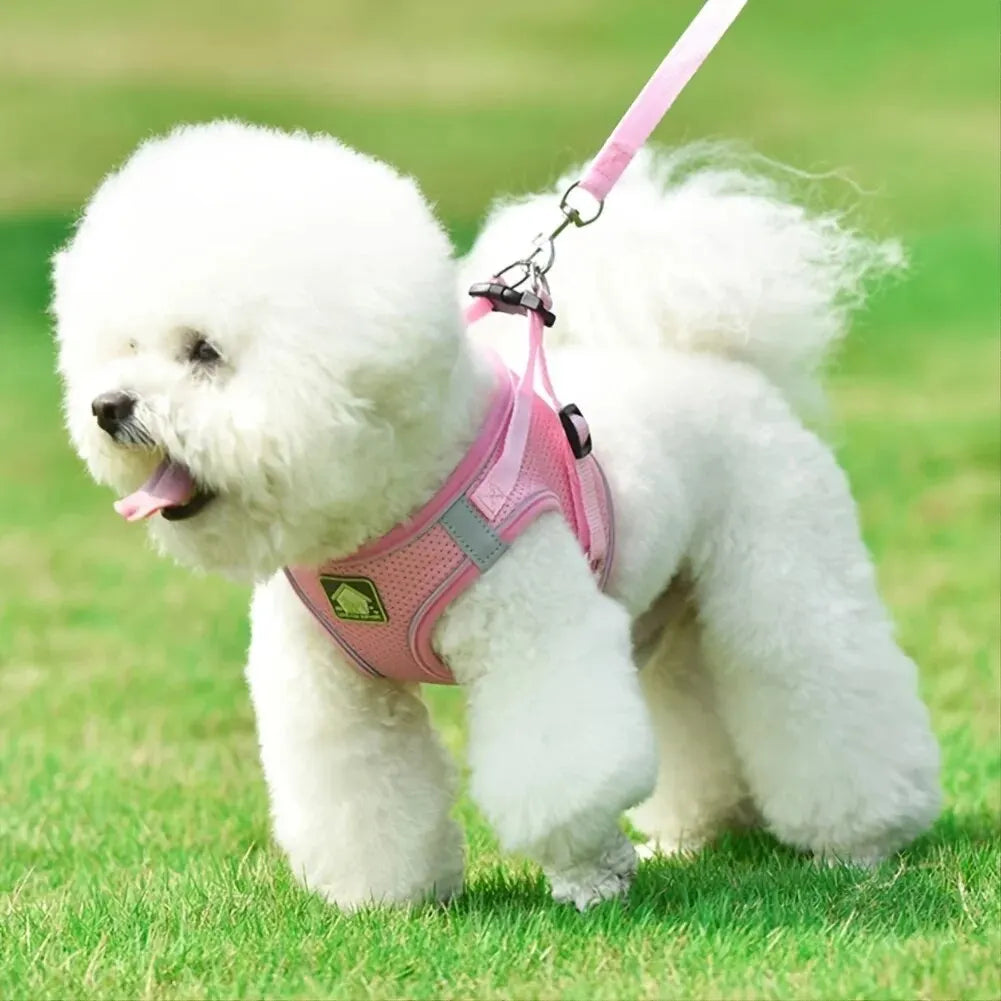 Reflective Pet Harness and Leash Set – No Pull Dog Vest with Breathable Mesh for Dogs & Cats