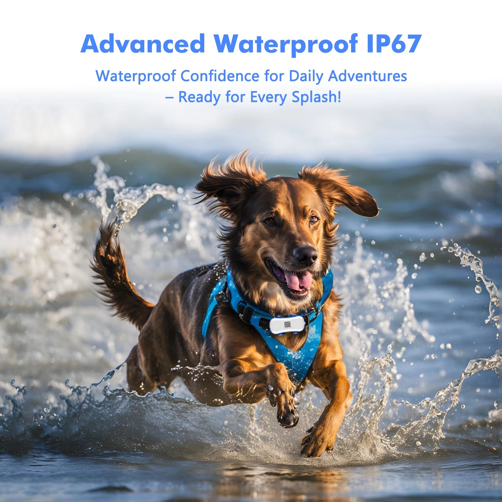 4G GPS Tracker for Dogs & Cats – Waterproof Smart Pet Locator with App, Live Tracking, Light & Sound Alerts (Subscription Required)