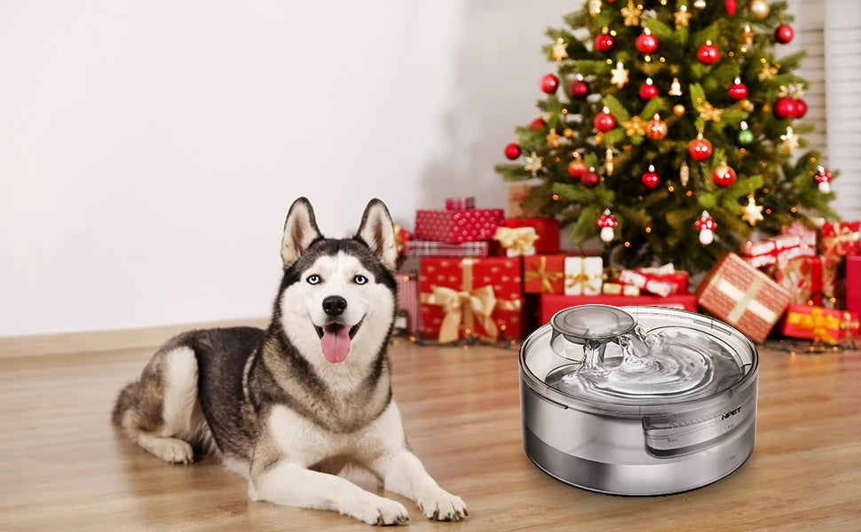 NPET DF10 Large Dog Water Fountain – 170oz / 5L Automatic Pet Water Dispenser for Dogs, Cats & Multiple Pets