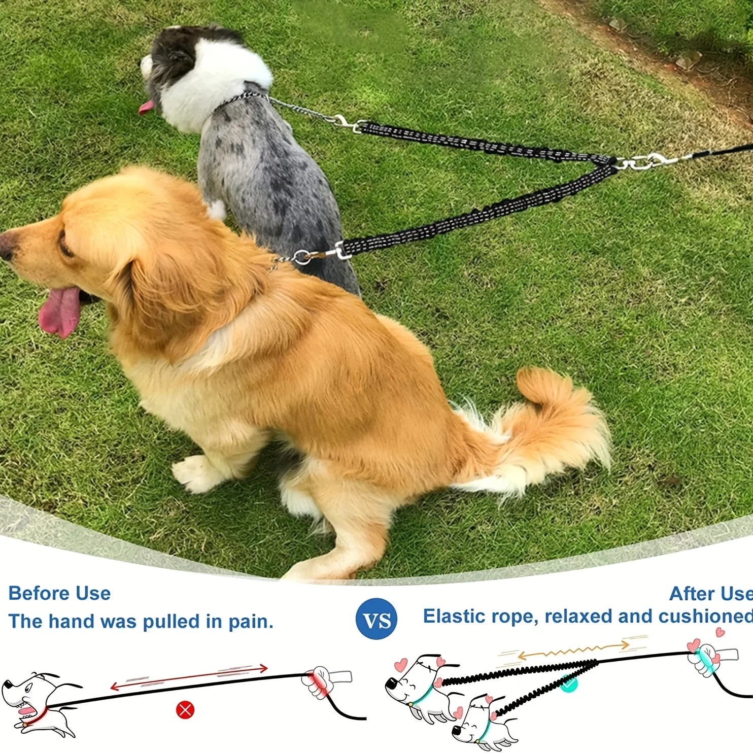 No-Tangle Double Dog Leash – Shock Absorbing Reflective Bungee Coupler for Two Dogs
