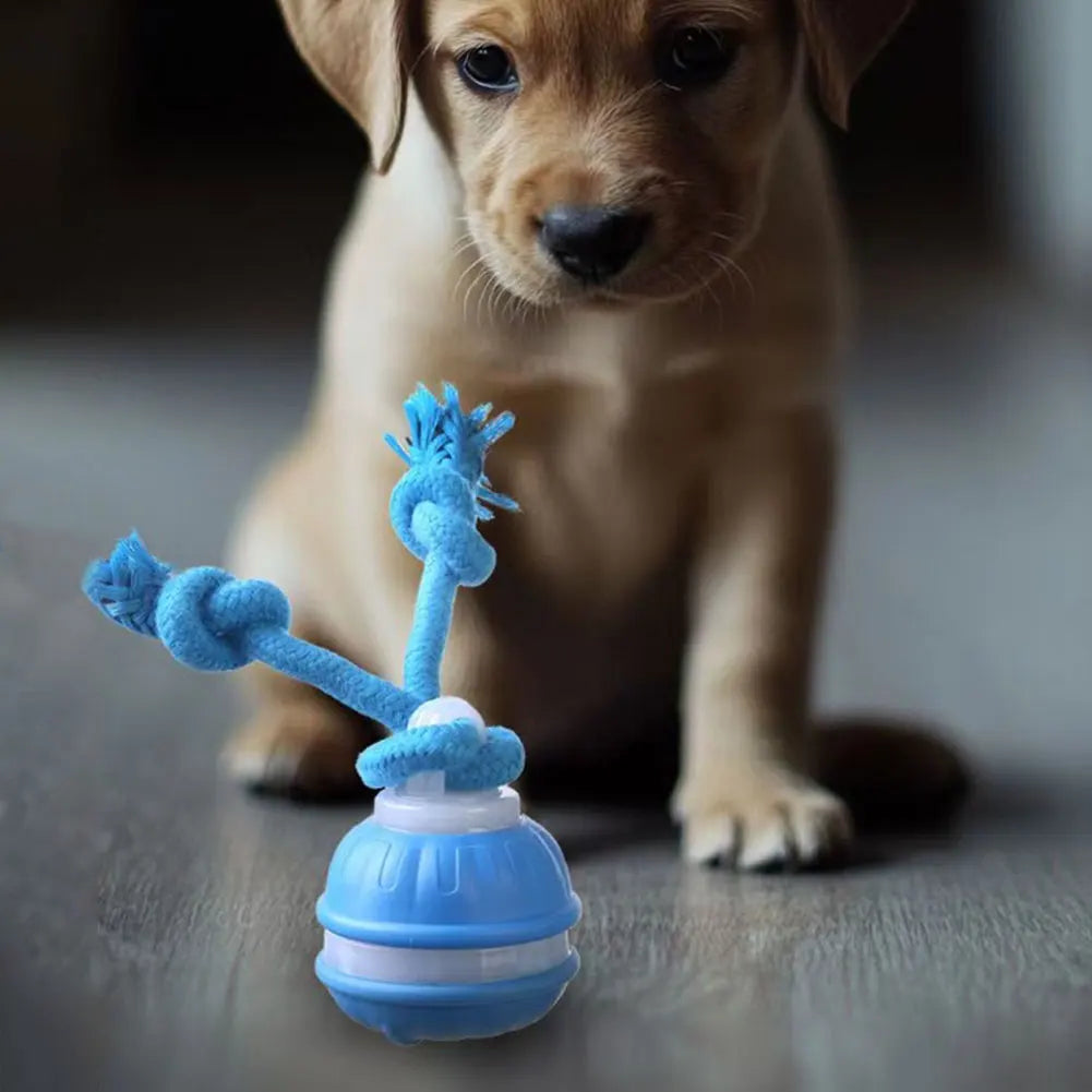 Interactive Dog Toy Ball – USB Rechargeable Motion-Activated Ball with Rope & Squeaker for Small & Medium Dogs, Puppy Play Toy