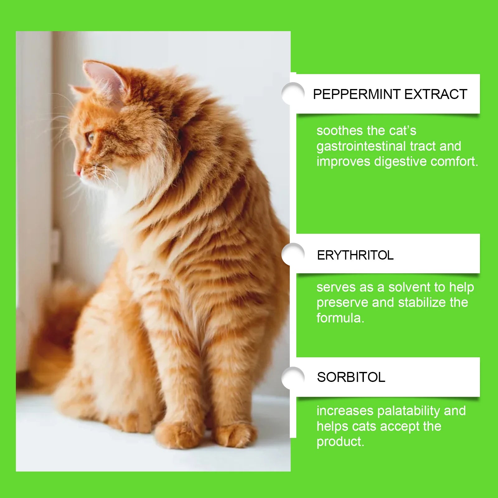 Yegbong Cat Probiotic Drops – Digestive & Immune Support Supplement | Enhances Vitality, Nutrient Absorption & Overall Health
