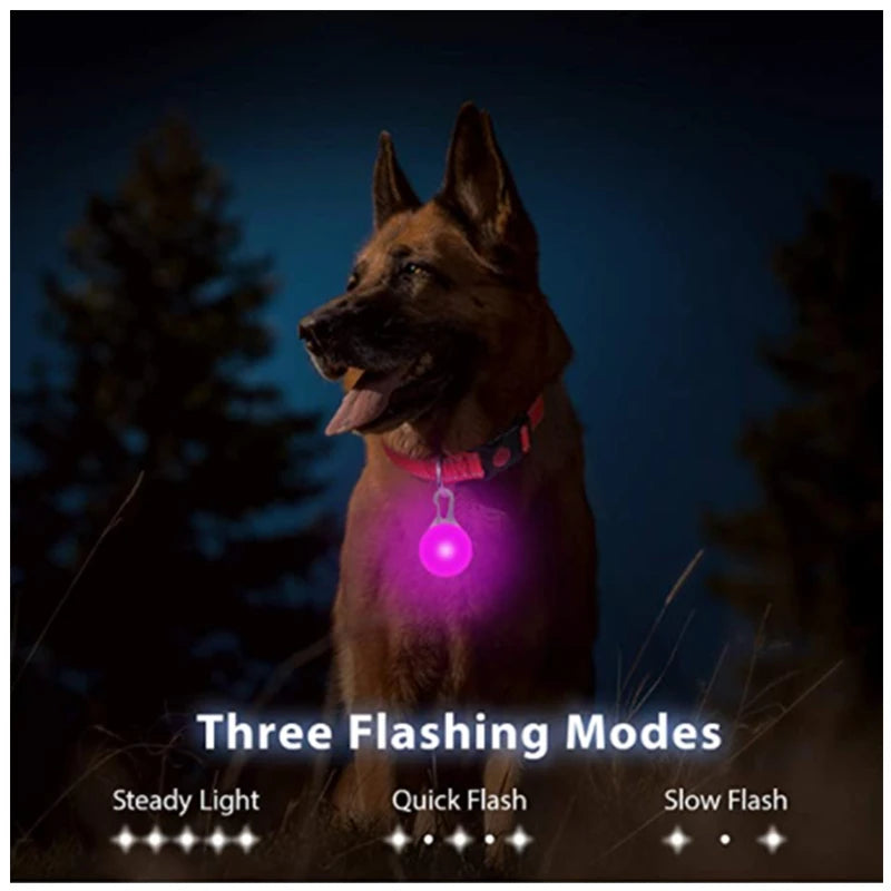LED Luminous Dog Collar – Adjustable USB Rechargeable Glowing Pet Collar, Anti-Lost & Safety Flashing Light
