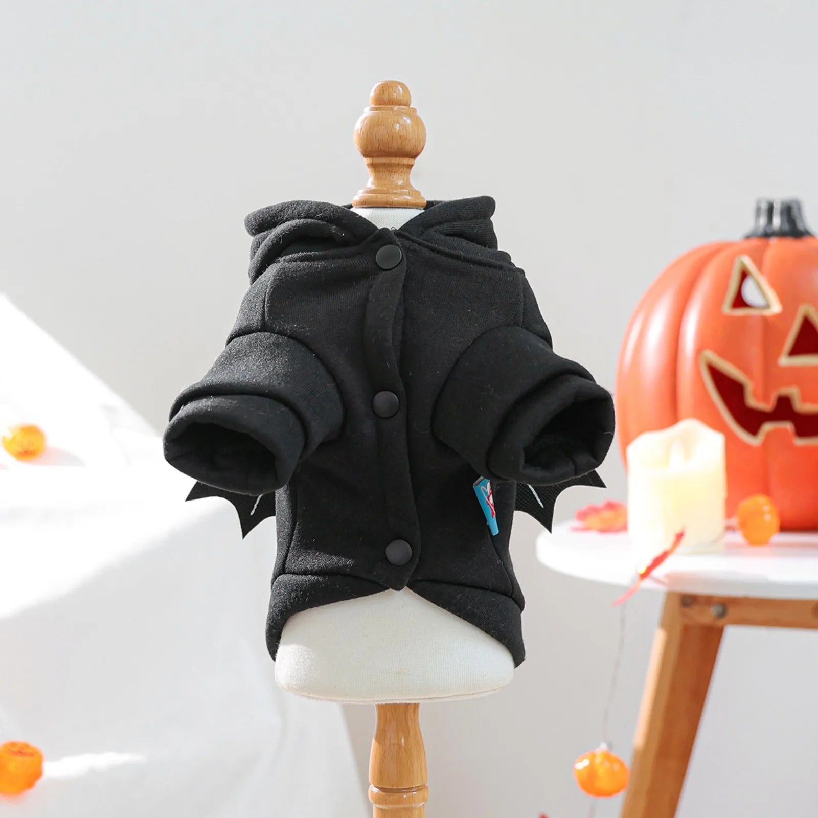 Halloween Pet Sweater – Dog & Cat Casual Fashion Costume for Parties & Fall Wear
