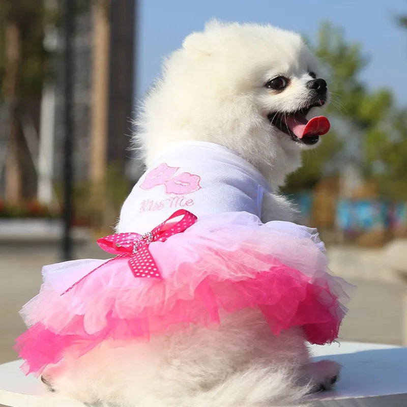 Princess Dog Dress – Lace Tutu Outfit for Small Dogs, Chihuahua & Puppy Apparel