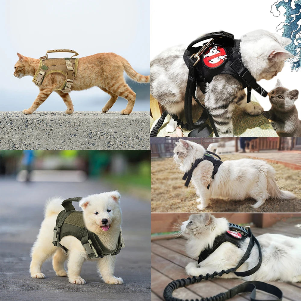Tactical Cat & Puppy Harness with Leash – Adjustable, Durable, and Built for Adventure