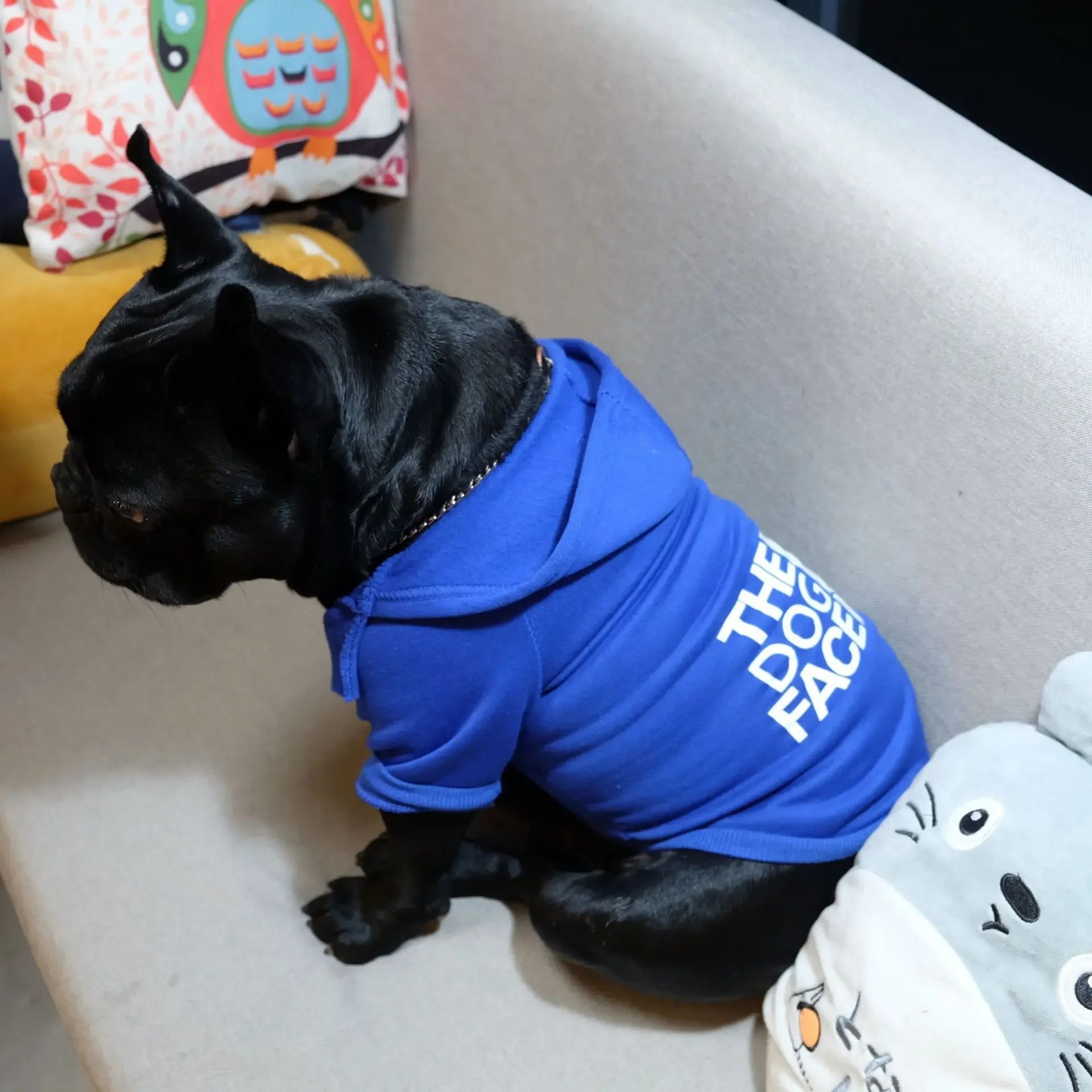 Pet Dog Hoodie – Autumn/Winter Sweatshirt for Large Dogs with “Dog Face” Text Pattern
