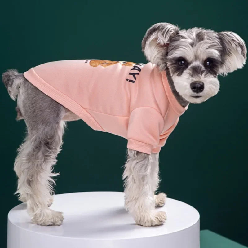 ๐ป Cute Bear Pattern Winter Dog Sweatshirt โ Cozy Pullover for Small & Medium Pets