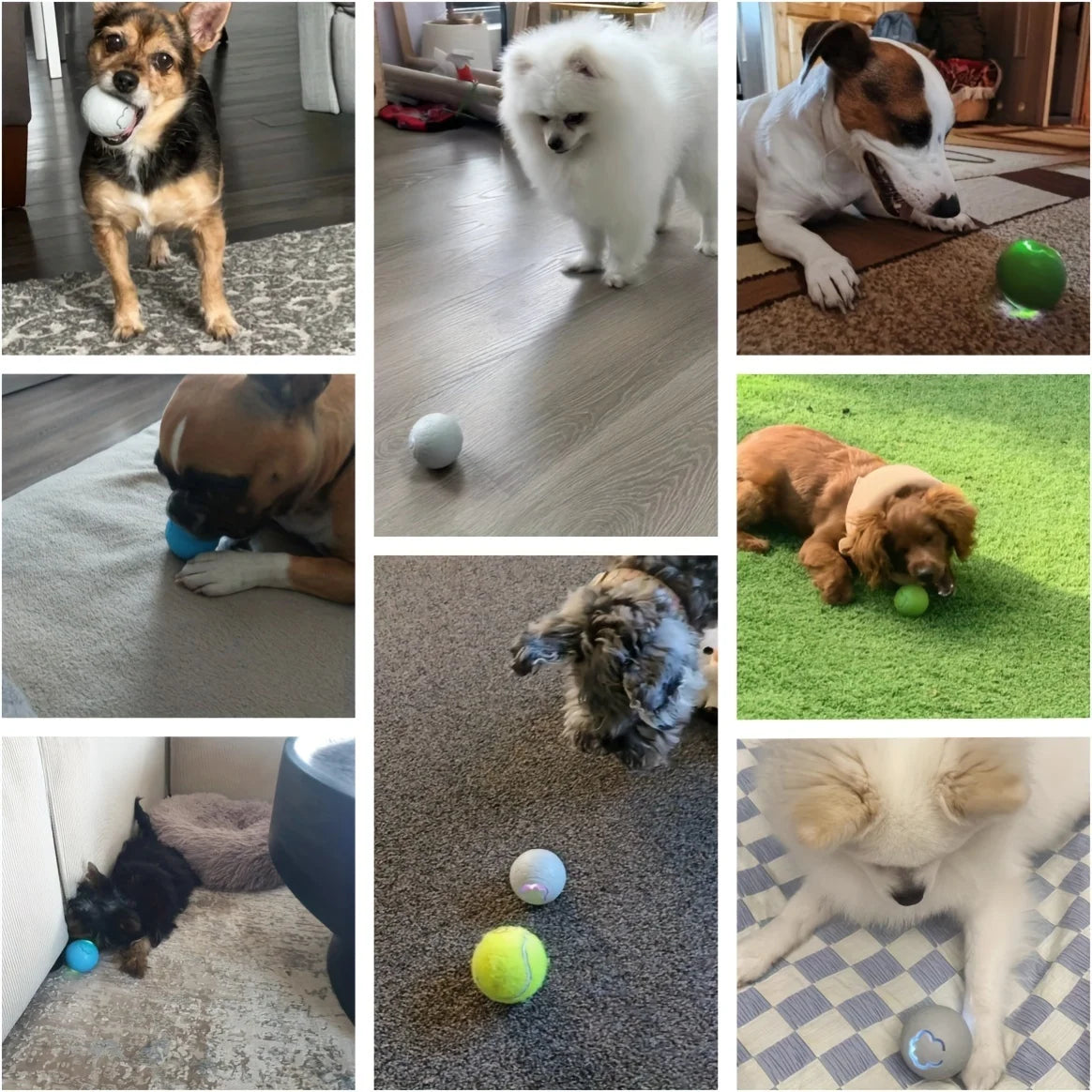 Smart Electronic Interactive Pet Toy Ball – USB Rechargeable Automatic Bouncing & Rolling Ball with RGB Lights for Dogs & Cats
