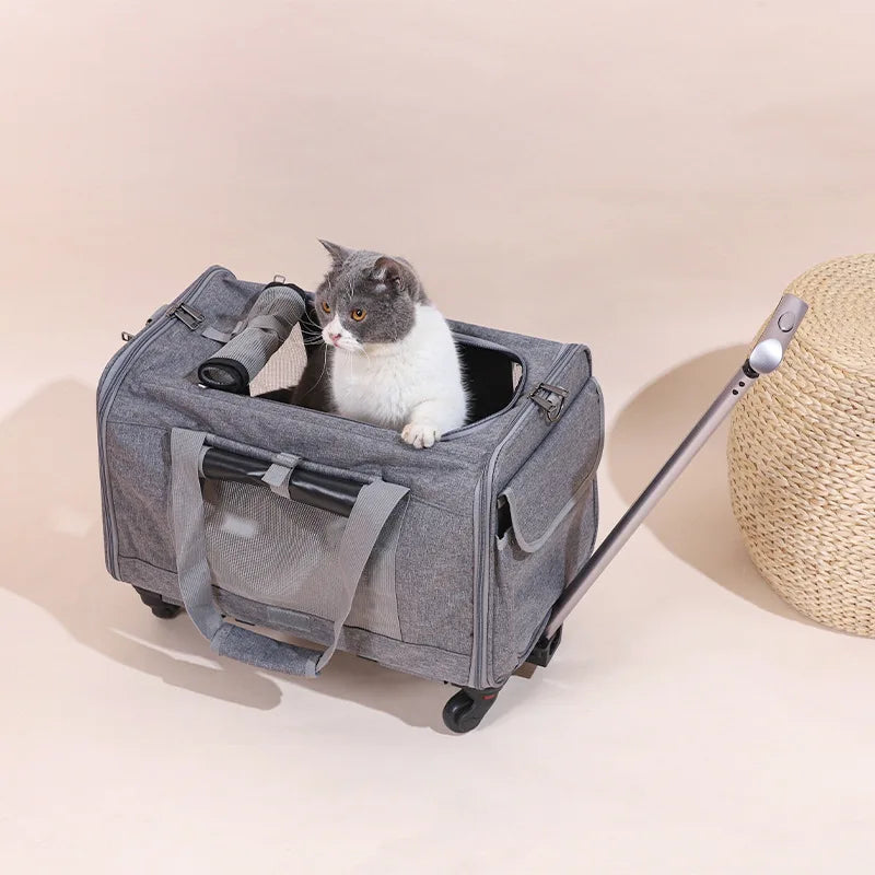Rolling Pet Carrier – Airline Approved Travel Bag with Wheels for Dogs & Cats