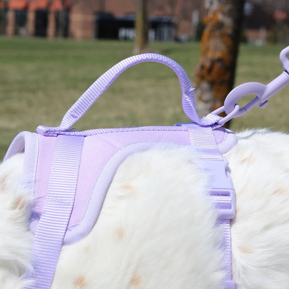 Adjustable Comfort Control Harness for Large Dogs with Secure D-Ring Leash Attachment