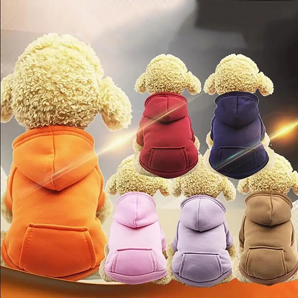 Puppy Pet Hooded Sweatshirt – Two-Legged Autumn/Winter Outfit with Pocket for Cats & Dogs