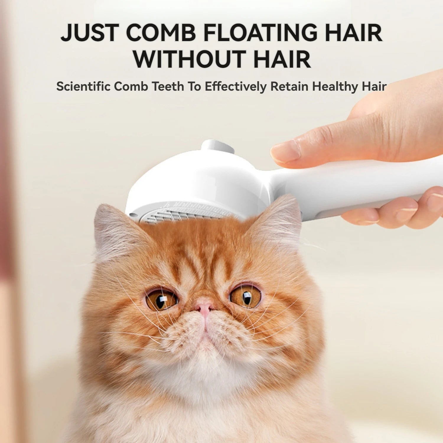 Cat Steam Brush – Pet Spray Hair Removal Comb for Shedding & Grooming | Water Mist Detangler Brush for Cats, Dogs & Small Animals