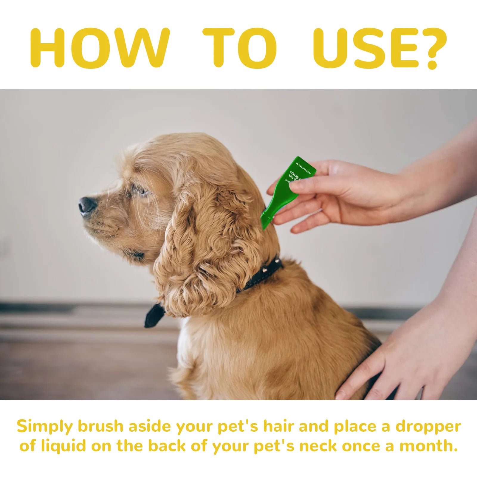 Cat Flea & Tick Treatment Drops – Itch Relief and Pest Repellent