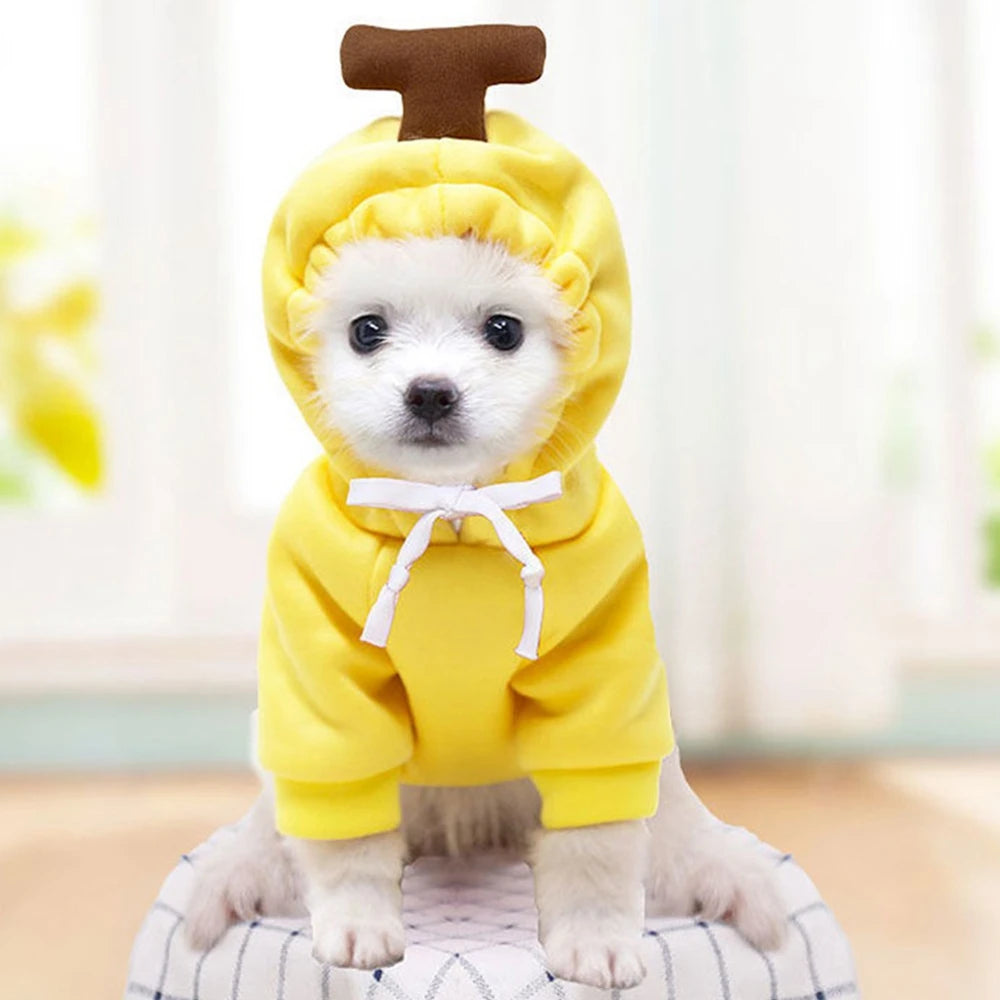Fruit Dog Hoodie – Warm Fleece Costume for Small Dogs & Cats