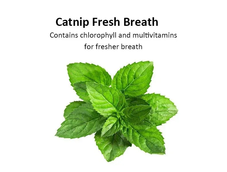 Crispy Cat Biscuits – Salmon, Chicken & Tuna Variety with Catnip