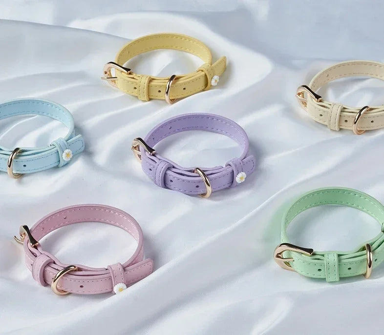 PU Leather Dog Collar with Daisy Decoration – Comfortable Pet Collar for Small Dogs and Cats