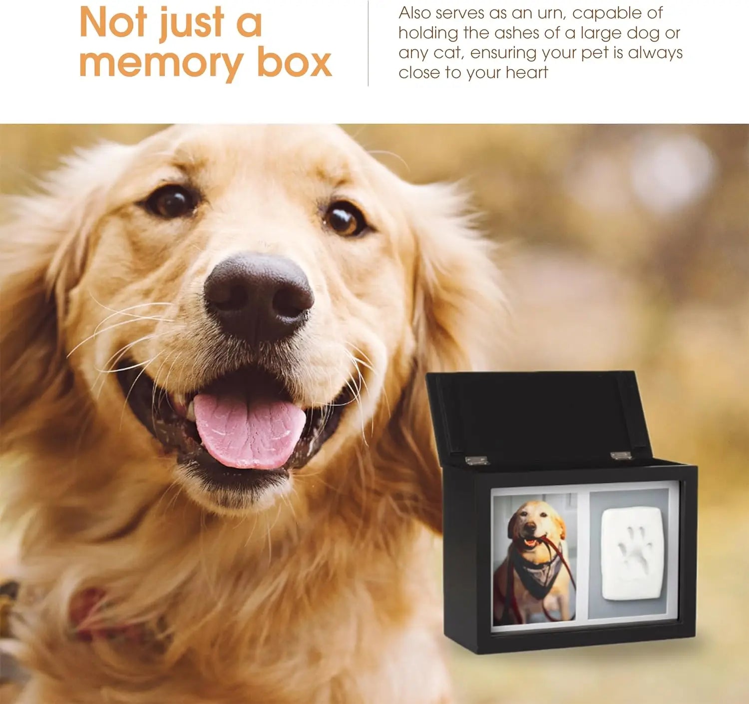 Pet Memorial Box & Paw Print Kit – Keepsake Urn with Clay for Ashes, Collar & Toys (Black)