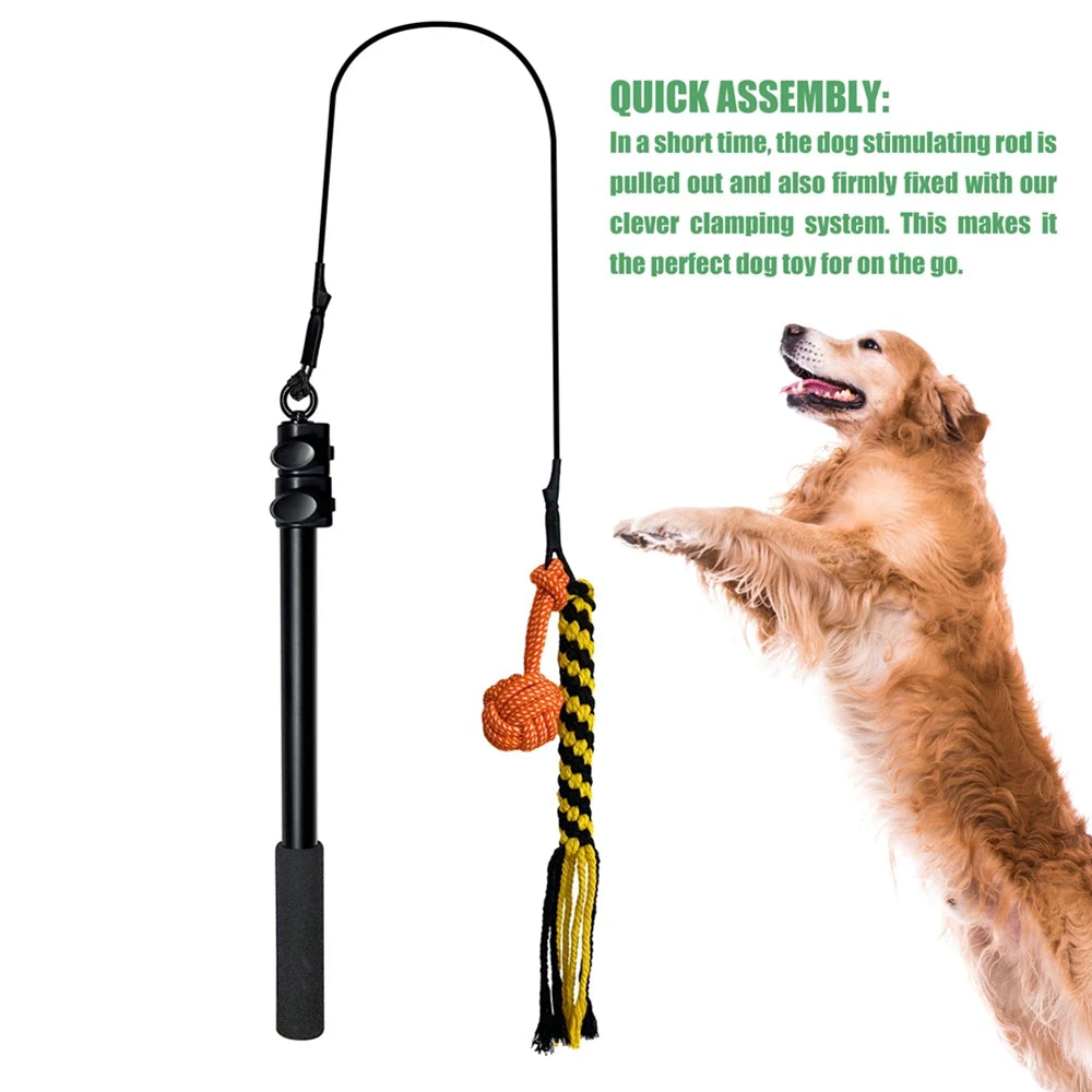 Retractable Flirt Pole Dog Toy – Bite-Resistant Teaser Wand with Plush Refill for Interactive Play & Training