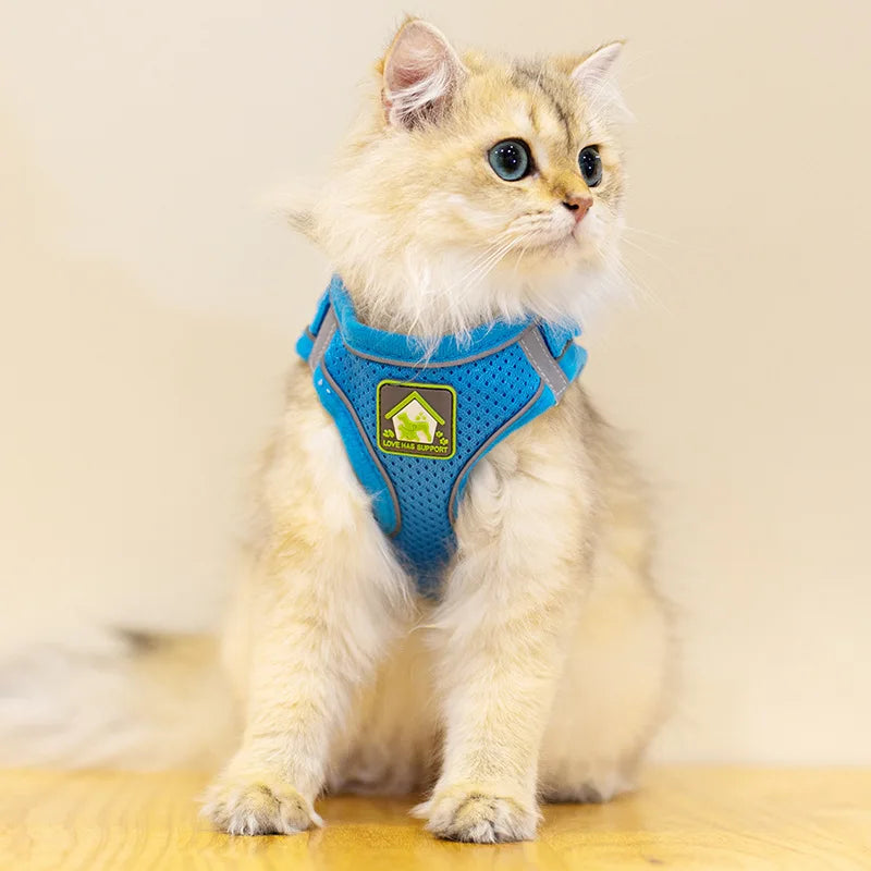 Reflective Pet Harness and Leash Set – No Pull Dog Vest with Breathable Mesh for Dogs & Cats