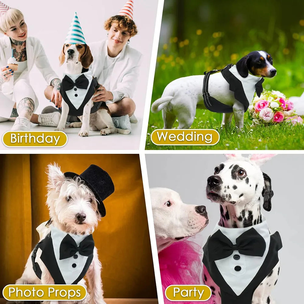 Female Dog Tuxedo Harness – Adjustable Formal Vest Costume for French Bulldogs & Large Dogs | Party & Wedding Pet Suit