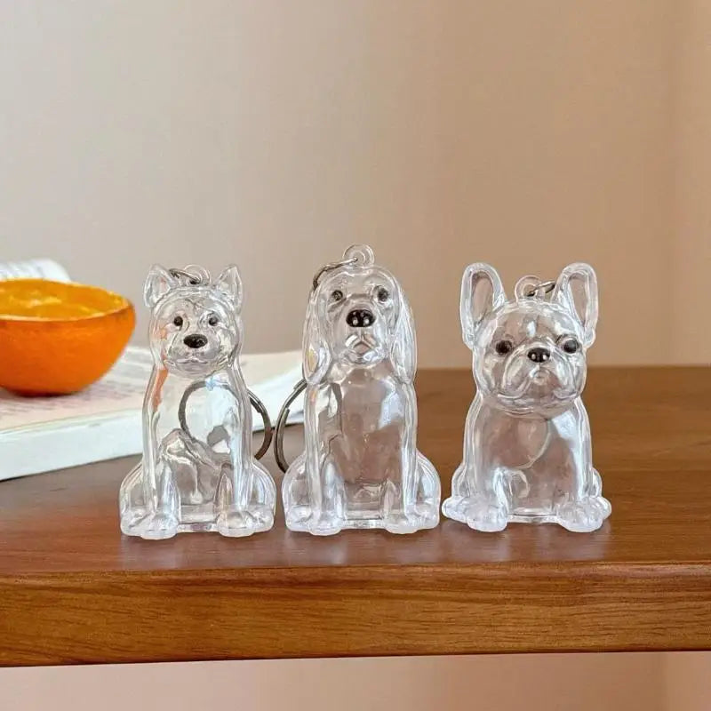 Cute Dog Hair Storage Keychain Transparent Pet Fur Keepsake Capsule Bag Pendant Decor Souvenir Collection Gift Memorial Jewelry