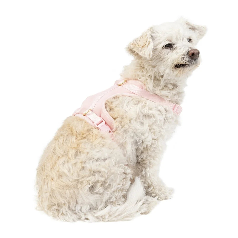 Adjustable Neoprene Dog Harness – XS Soft & Durable Walking Vest with Dual D-Rings for Secure Control