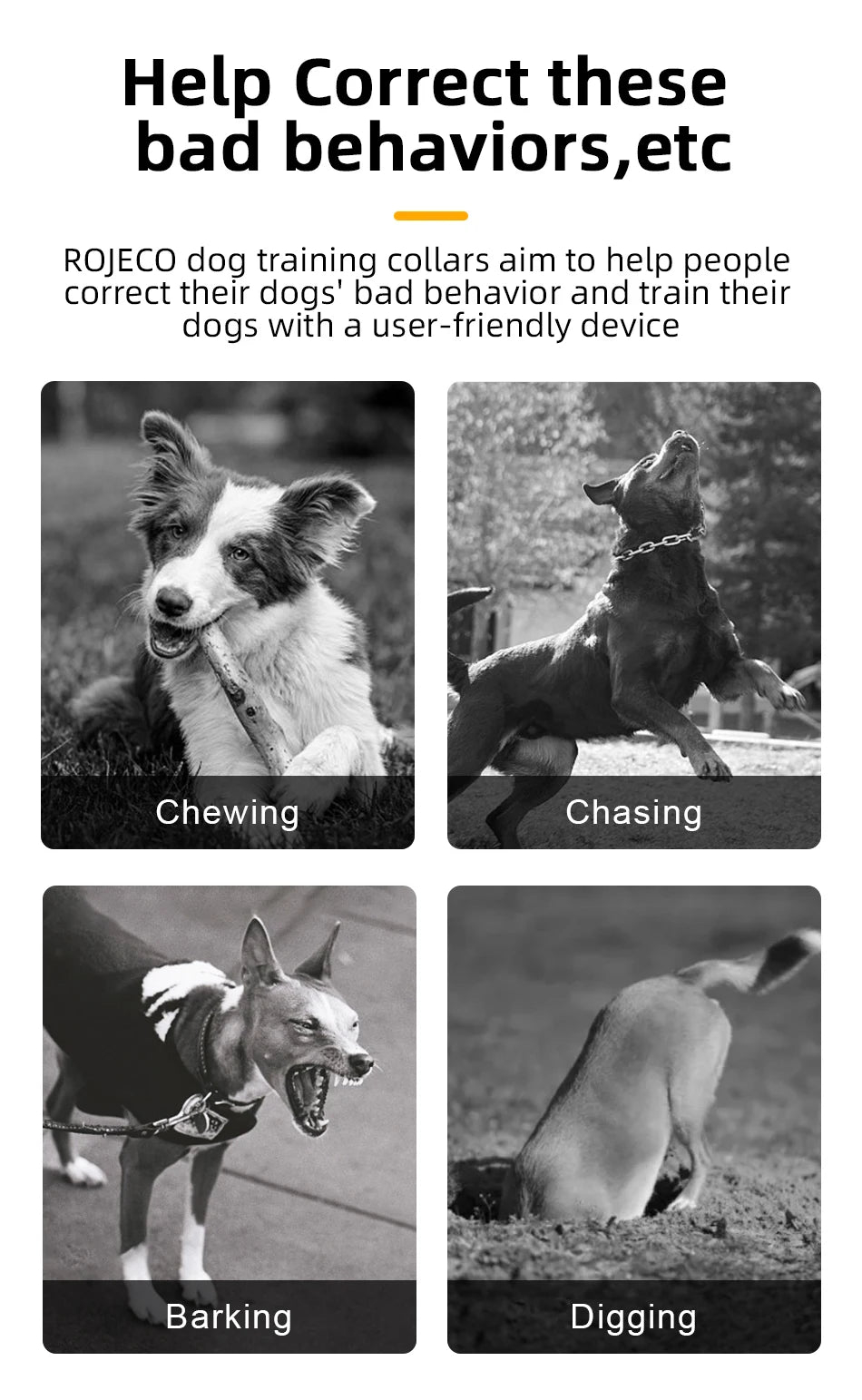 ROJECO Rechargeable Dog Training Collar – IPX7 Waterproof with Remote, Vibration & Shock Modes