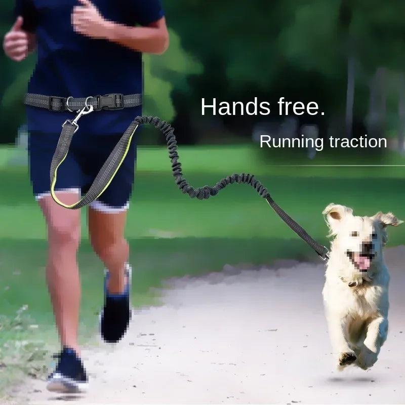 Hands-Free Dog Leash with Waist Belt – Adjustable for Walking, Running & Jogging